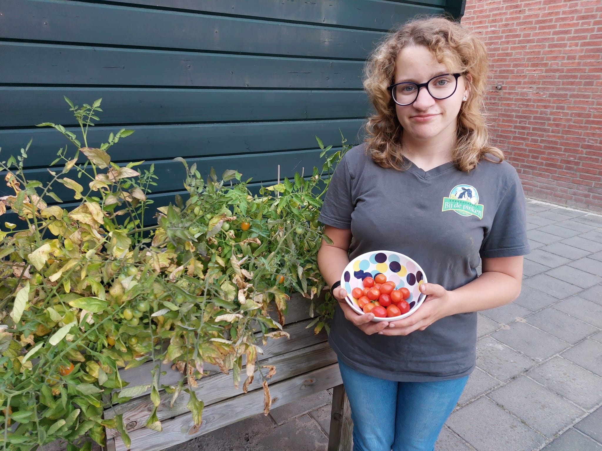 Moestuin (moestuin valerie.jpg)